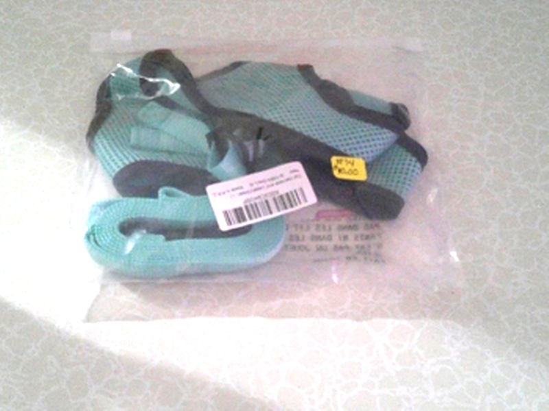 Cat Harness & Leash (Green) (image for) Cat Harness & Leash (Green)