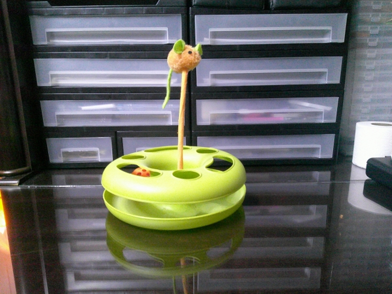 Cat Toy (Green) (image for) Cat Toy (Green)